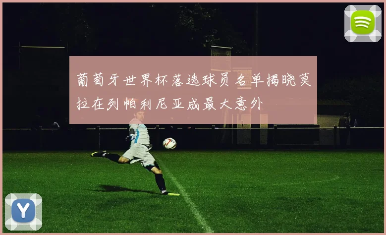葡萄牙世界杯落选球员名单揭晓莫拉在列帕利尼亚成最大意外