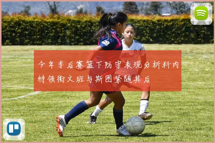 今年季后赛篮下防守表现分析科内特领衔文班与斯图紧随其后