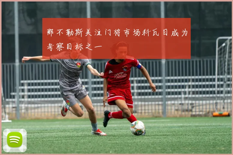 那不勒斯关注门将市场科瓦日成为考察目标之一